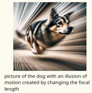 picture of the dog with an illusion of motion created by changing the focal length