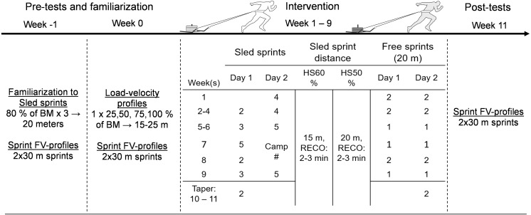 אימוני גרירת המזחלות