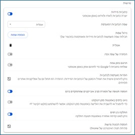אילו התאמות נגישות מציע Google?