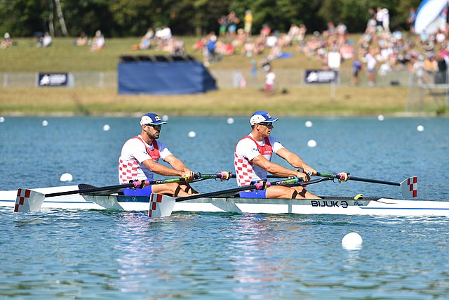 האחים צינקוביץ'