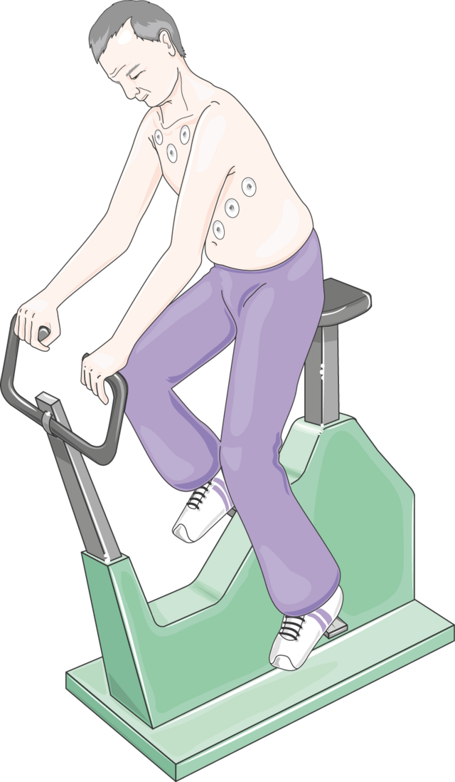 הכנה לבדיקת ארגומטרית על אופניים