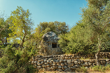 בשביל-אמאוס-מנוה-אילן-לפארק-קנדה