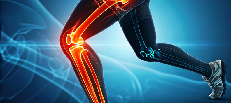 המעבדה לפיזיולוגיה של המאמץ, רגליים רצות והדמייה של העצמות