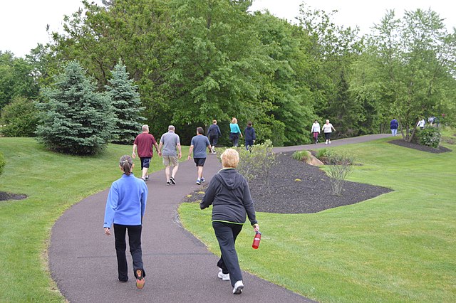 אנשים מבוגרים הולכים בפארק