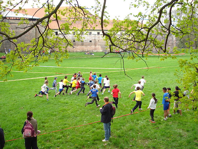 מרוץ שדה לילדים בקרואטיה בשנת 2013