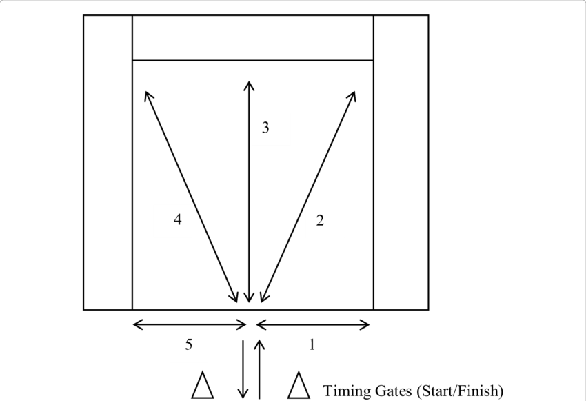תרשים מבחן ריצת עכביש