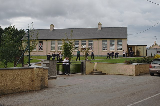 המייל היומי