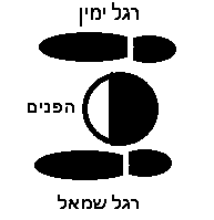 סכמה מצב הקופץ לגובה