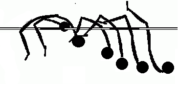 תרשים מעבר הרף