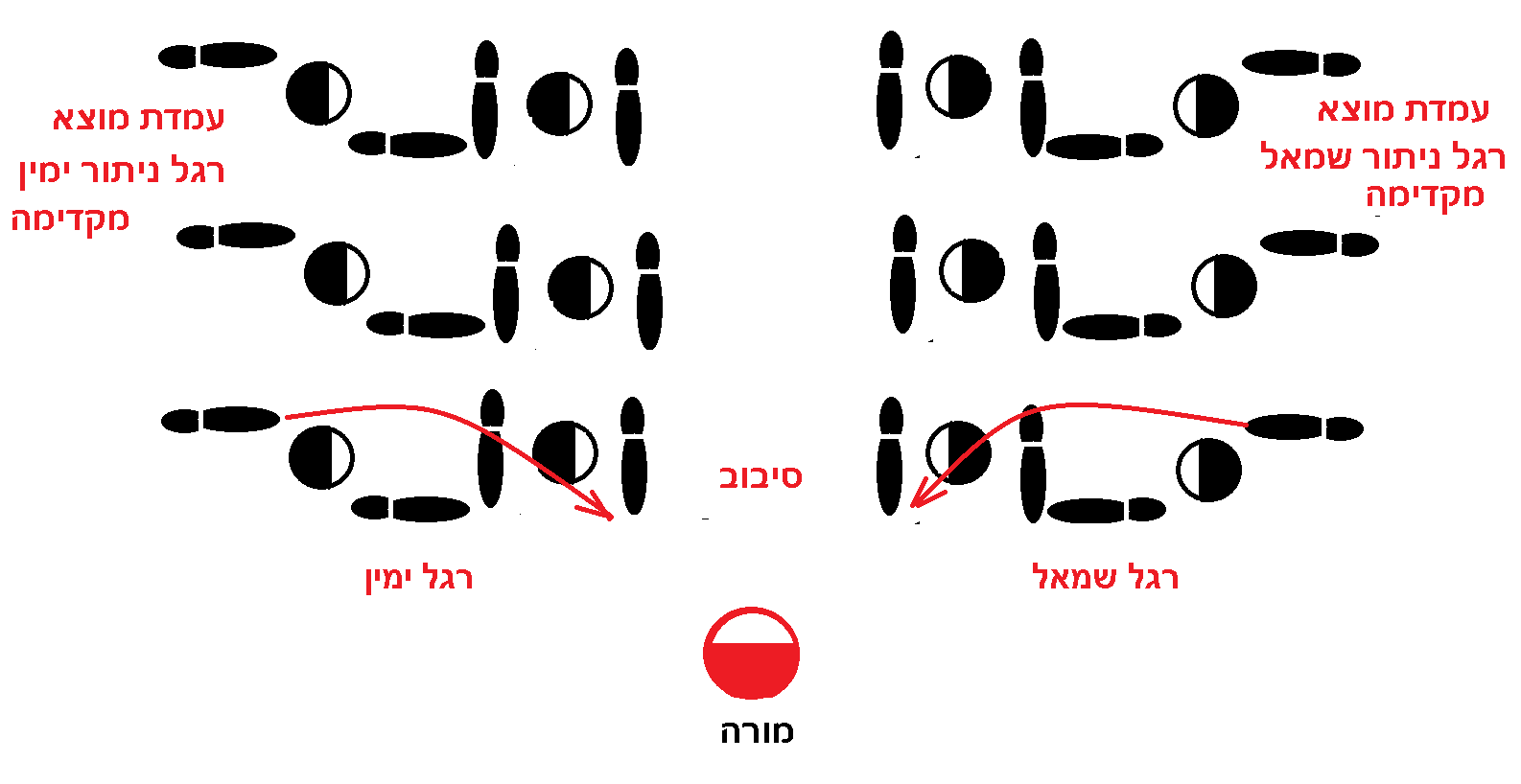 תרשים סיבוב אגן