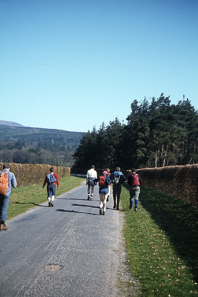 טיול בקבוצה