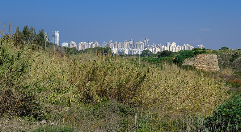 שמורת פולג – מרכס הכורכר לחוף הים 11.3.2027